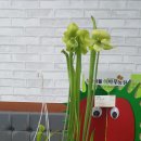 신영란 농장 이미지