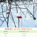 (주)비타민나무 이미지