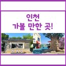 모란휴게음식점 | 인천 가볼만한 곳 / 차이나타운, 일본풍거리, 신포 국제시장, 자유공원, 송월동 동화마을, 송도 센트럴...