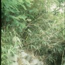 의령 벽화산성지 이미지