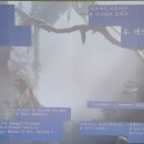 시립미술관(비엔날레주차장) 이미지