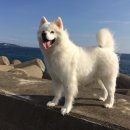별바다하우스 이미지