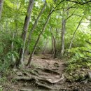 조곡생활체육공원 이미지