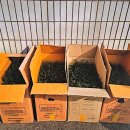 오산면행정복지센터 이미지