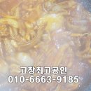 꼼시네숯불꼼장어 이미지
