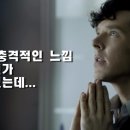 총각정육백화점 정관점 이미지