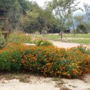 속리산 사계절 캠핑장 이미지