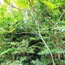 안양역(1호선) 공중화장실(안양역사 2층) | [부산] 해운대에서 높은 곳에 위치한 달과 가장 가까운 산책길 "달맞이 길"