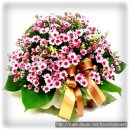 오산-청학-청학-5 이미지