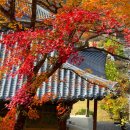 가을여행-선암사-송광사-보리밥집고개(순천) 이미지