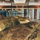 사하구 낙동남로1233번길 이미지