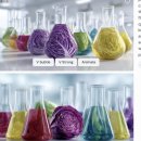 골든벨 노래방 | 함께한 시간을 우리 추억을