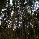 월정마니 이미지