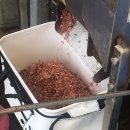 신신낚시신항만점 | 일상로그 :: 포항데이트 포항 신항만 뜬방 낚시 포항흥해맛집 횟집 돼지수산