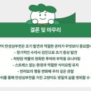 수성동물병원 이미지