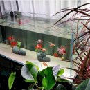 부흥세탁소 이미지