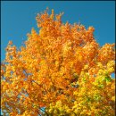 가을하늘 이미지