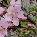 비산 빗물펌프장 이미지