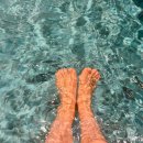 알베센트 B동 이미지