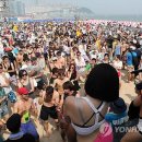 축제의 바다 이미지