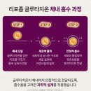 나무메디 | 글루타치온 추천::슈어메디 리포좀 글루타치온 시그니처 9S 솔직 후기