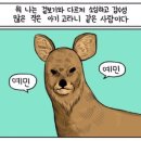 고라니김밥 이미지