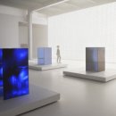 디자인 밀라