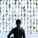 현대미술관 상설 전시 이미지