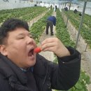성용농장 네이버블로그
