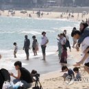 내일날씨 이미지