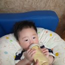 [강진 여행]강진 보은산 V랜드에서 열리는 제4회 강진 수국길 축제 방문후기