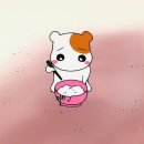 라니휘트니스 이미지