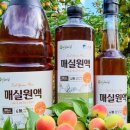 진실농원