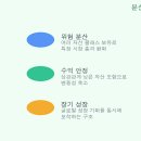 금 강  1 이미지