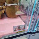 뽀꼬팡 이미지
