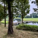 가평잣나무숲하우스 | 아난티 코드 가평 라운드 후기 (느티나무-잣나무 코스)