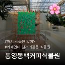 정열농장 | 통영동백커피식물원 | 카페와 식물원이 동시에? 실내 데이트/가족끼리 가기 좋은 이국적인 아열대 식물원