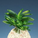 두엽농장 이미지