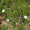 명석면사무소 이미지