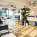 이디오라게 이미지