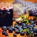 블루베리 이미지