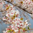 꿈자람구장 이미지