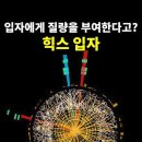 힉스입자에 정임계를 조합하면 이미지