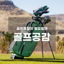 에코골프피팅샵 | [골프공감] 테일러메이드 올 뉴 글로리(All New Gloire) 2025 시리즈