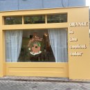 오렌지 칠(orange chill) 이미지