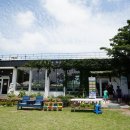 어도초어음분교장 이미지