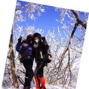 아름다운동행의원 | 2013년 01월 26일 덕유산 등산 후기