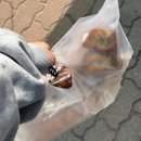 통영 담백 쫄깃 맛있는 빵집 추천 | 죽림 신상 베이커리 모모의 빵집 후기