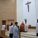 주님 수난 성지 주일 이미지