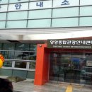 경포아쿠아리움박물관 이미지